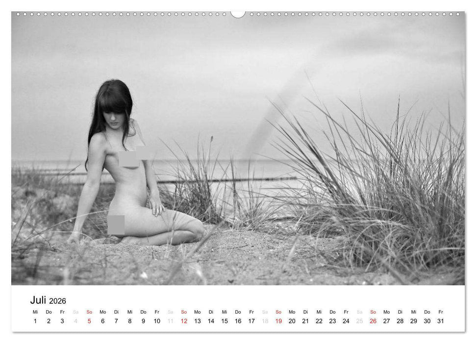 Klassischer Akt schwarz und weiß (CALVENDO Premium Wandkalender 2026)