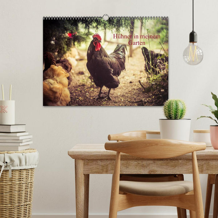 Hühner in meinem Garten (CALVENDO Wandkalender 2026)