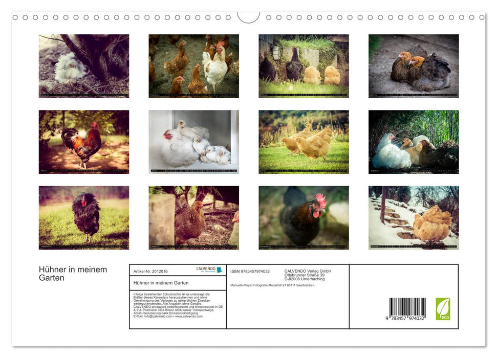 Hühner in meinem Garten (CALVENDO Wandkalender 2026)