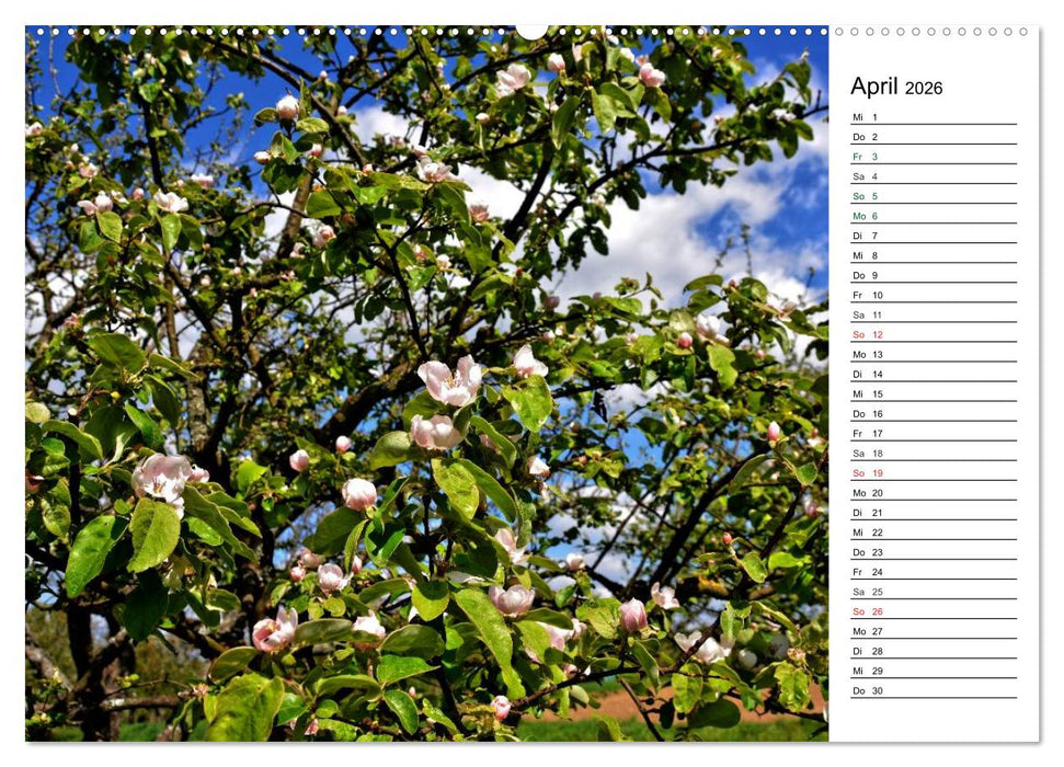 Landschaften des Kraichgaus (CALVENDO Wandkalender 2026)