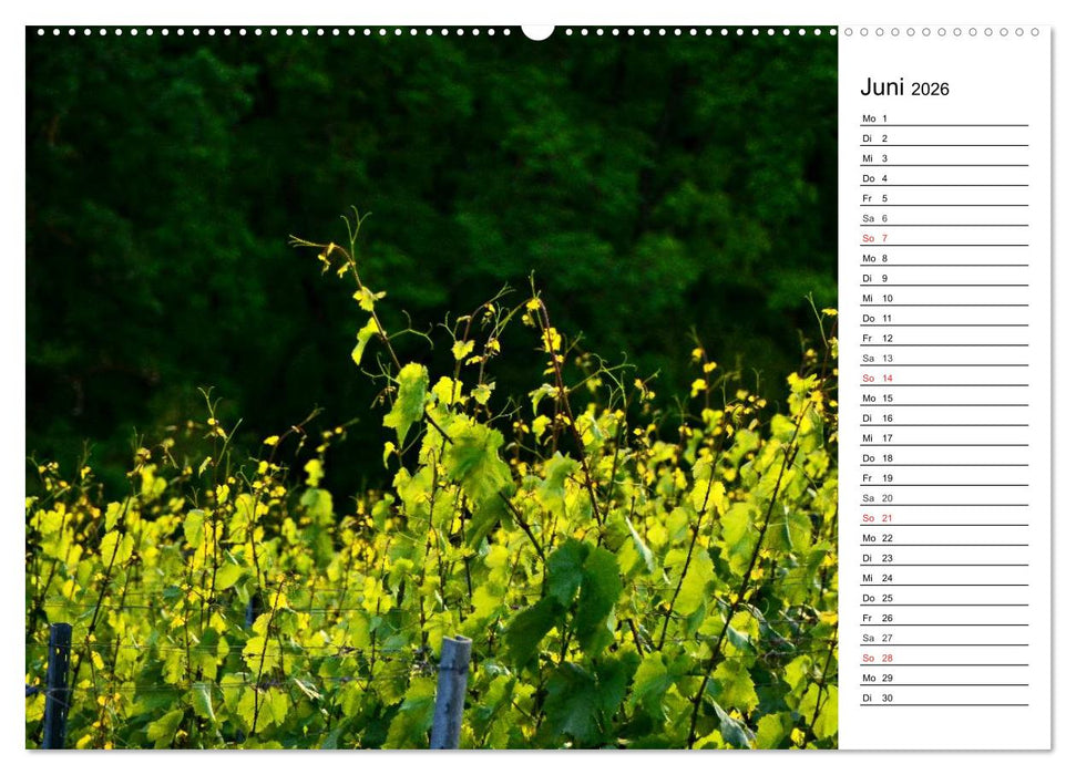 Landschaften des Kraichgaus (CALVENDO Wandkalender 2026)