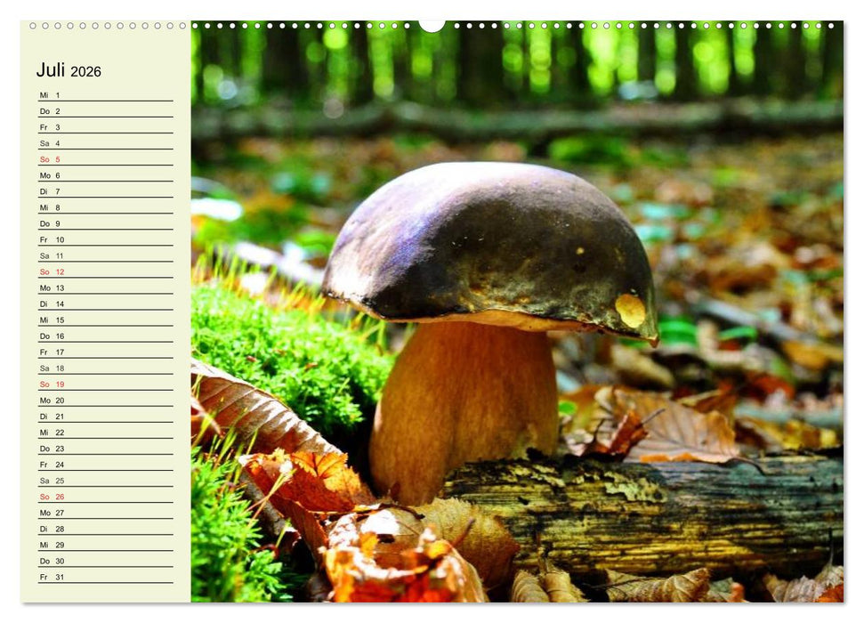 Pilze und Pilzgerichte (CALVENDO Premium Wandkalender 2026)
