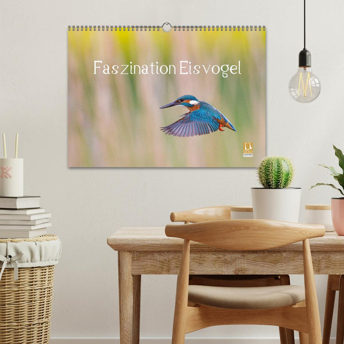 Faszination Eisvogel (CALVENDO Wandkalender 2026)