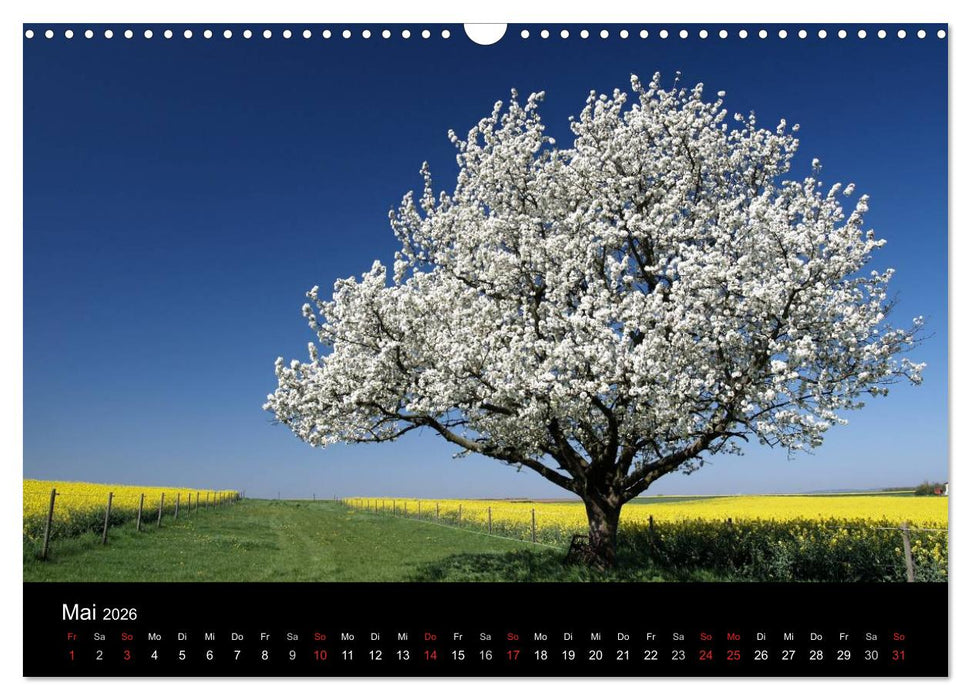 Himmel über Rheinhessen (CALVENDO Wandkalender 2026)