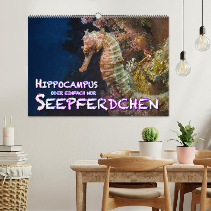 Hippocampus oder einfach nur Seepferdchen (CALVENDO Wandkalender 2026)