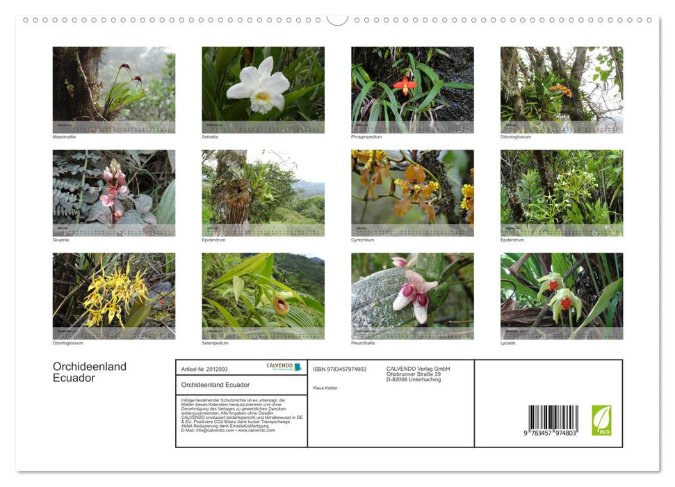 Orchideenland Ecuador (CALVENDO Premium Wandkalender 2026)