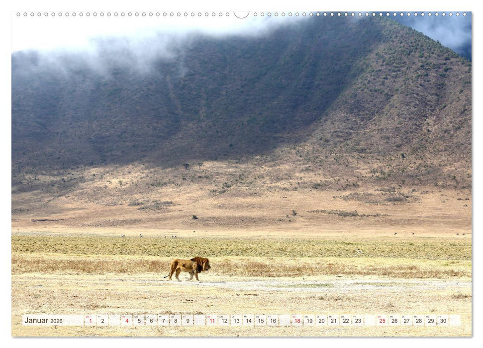 Tansania - Durch die Nationalparks Ostafrikas (CALVENDO Premium Wandkalender 2026)