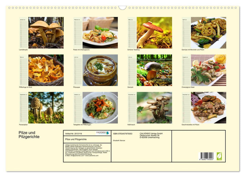 Pilze und Pilzgerichte (CALVENDO Wandkalender 2026)