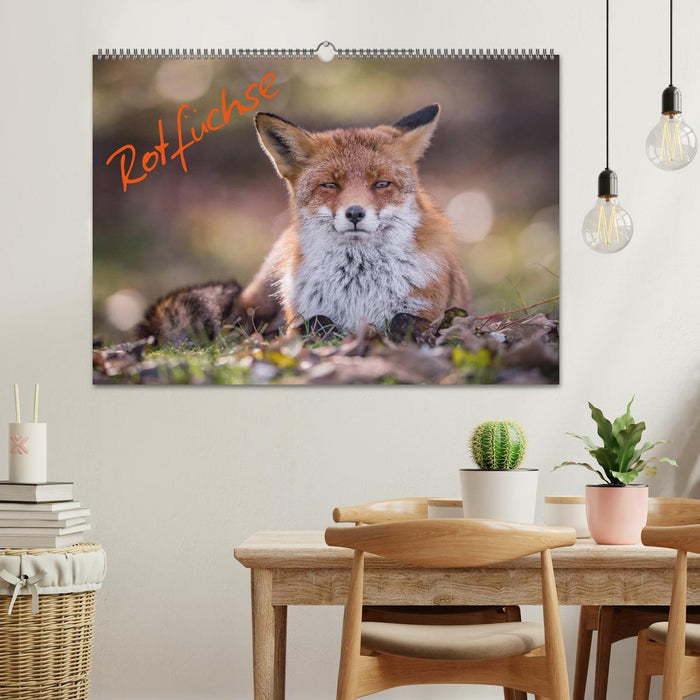 Rotfüchse (CALVENDO Wandkalender 2026)