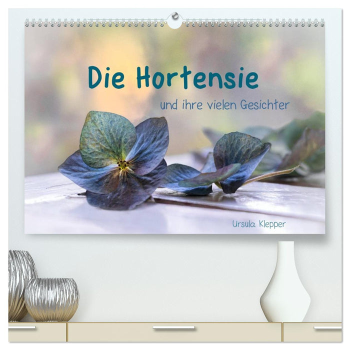 Die Hortensie und ihre vielen Gesichter (CALVENDO Premium Wandkalender 2026)
