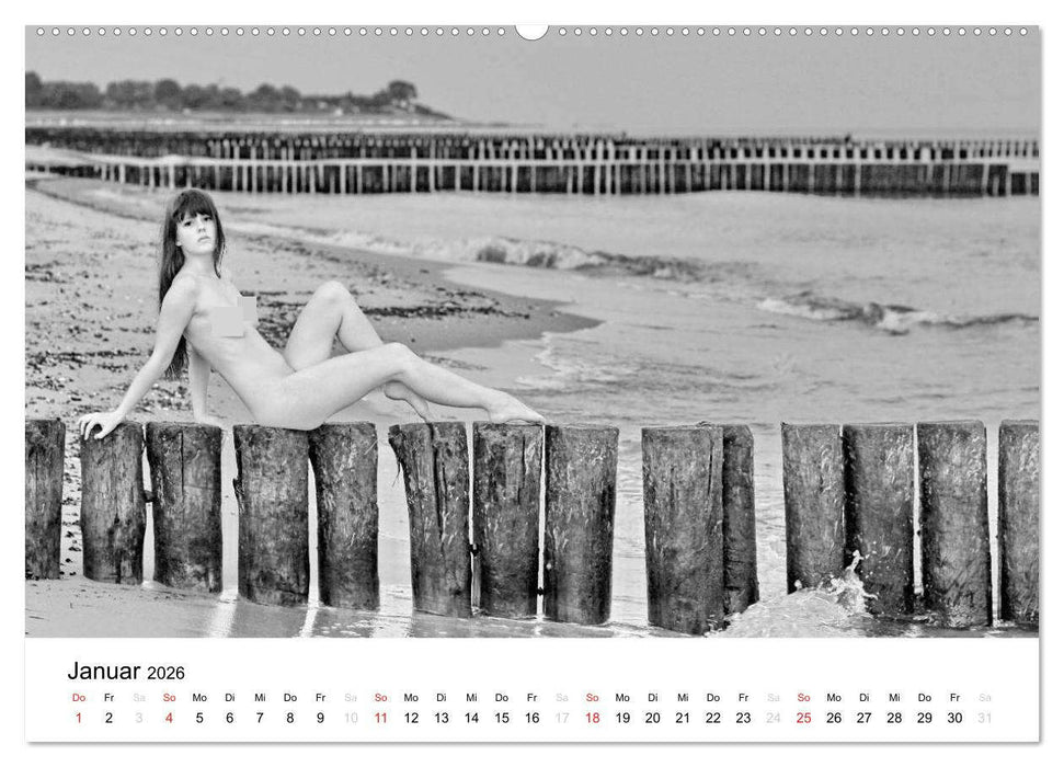 Klassischer Akt schwarz und weiß (CALVENDO Wandkalender 2026)