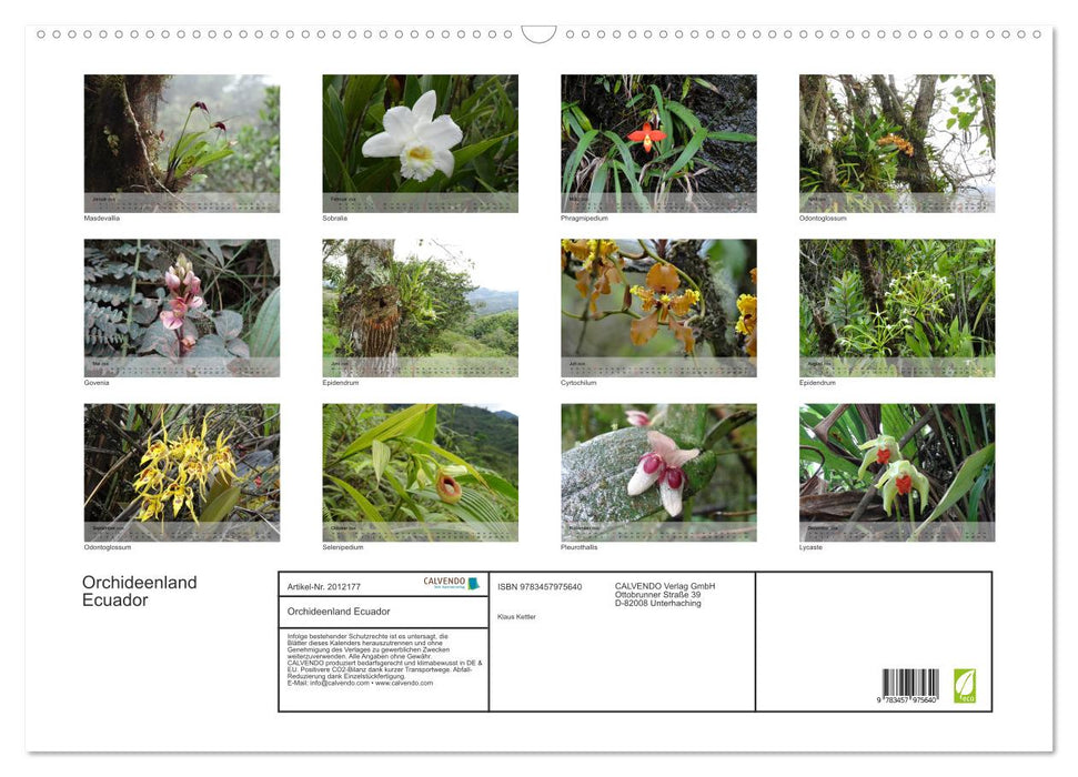 Orchideenland Ecuador (CALVENDO Wandkalender 2026)