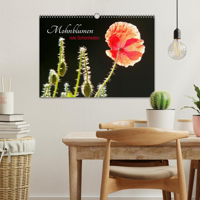Mohnblumen - rote Schönheiten (CALVENDO Wandkalender 2026)