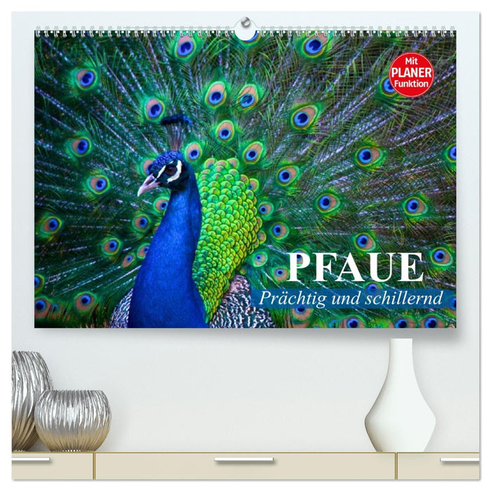 Pfaue. Prächtig und schillernd (CALVENDO Premium Wandkalender 2026)