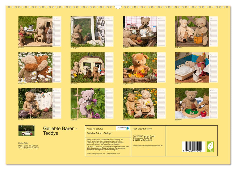 Geliebte Bären - Teddys (CALVENDO Premium Wandkalender 2026)