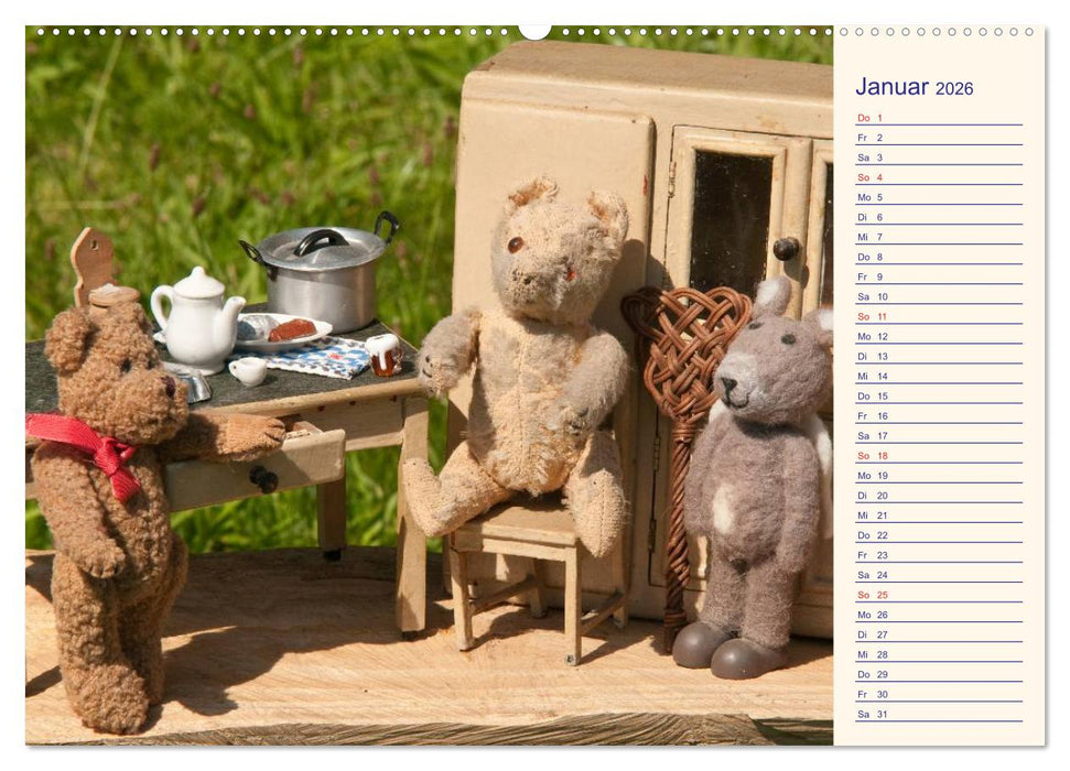 Geliebte Bären - Teddys (CALVENDO Premium Wandkalender 2026)