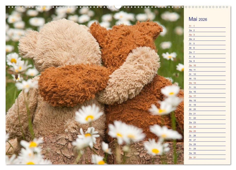 Geliebte Bären - Teddys (CALVENDO Premium Wandkalender 2026)