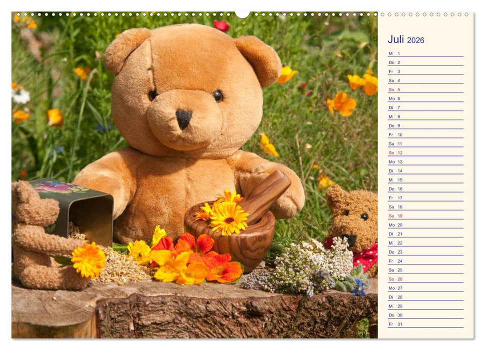 Geliebte Bären - Teddys (CALVENDO Premium Wandkalender 2026)