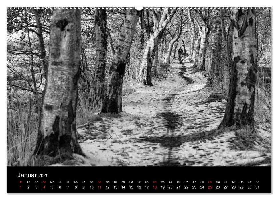 Ost-Friesische Schwarz-Weiß-Ansichten (CALVENDO Wandkalender 2026)