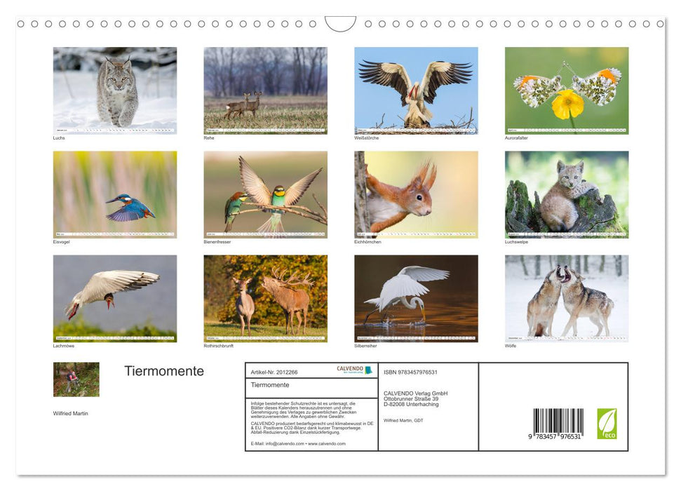 Tiermomente (CALVENDO Wandkalender 2026)