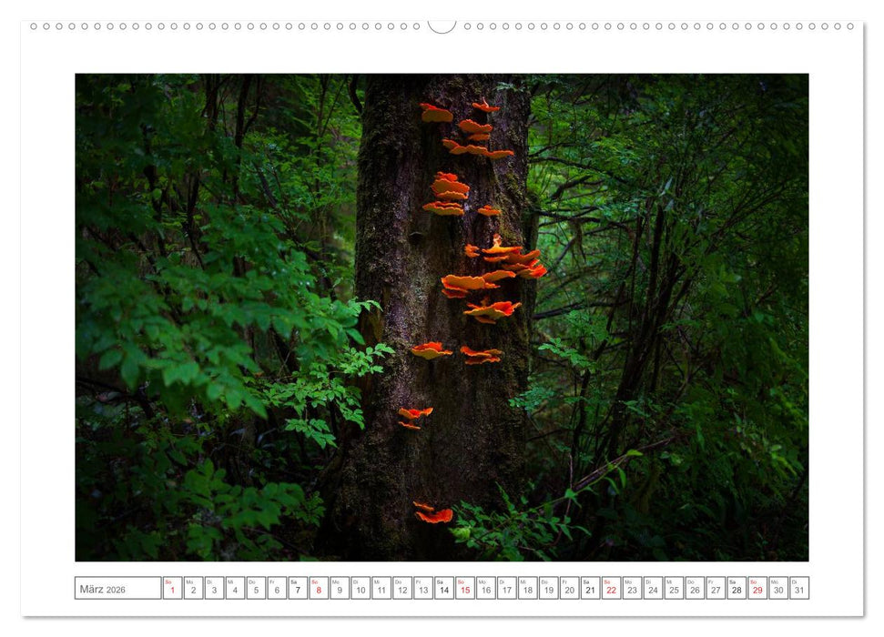 Vancouver Island (CALVENDO Wandkalender 2026)