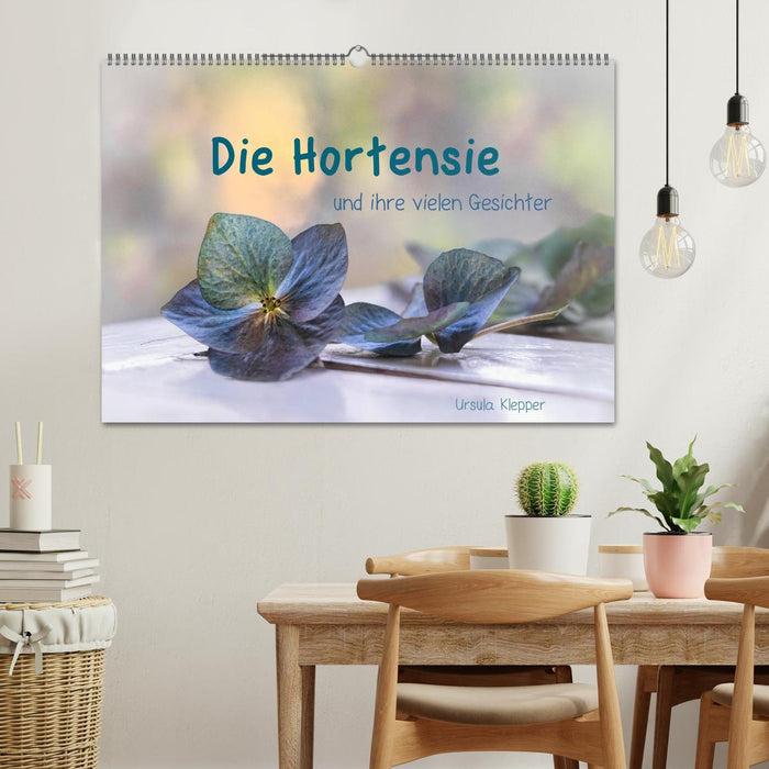 Die Hortensie und ihre vielen Gesichter (CALVENDO Wandkalender 2026)