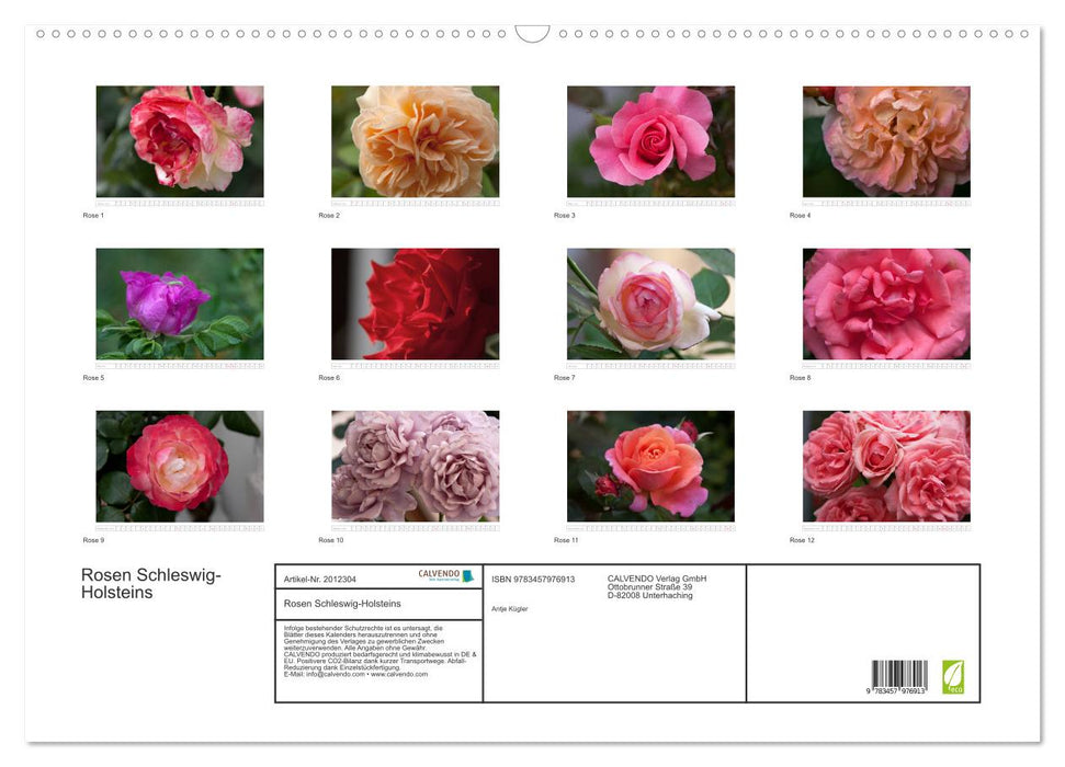 Rosen Schleswig-Holsteins (CALVENDO Wandkalender 2026)