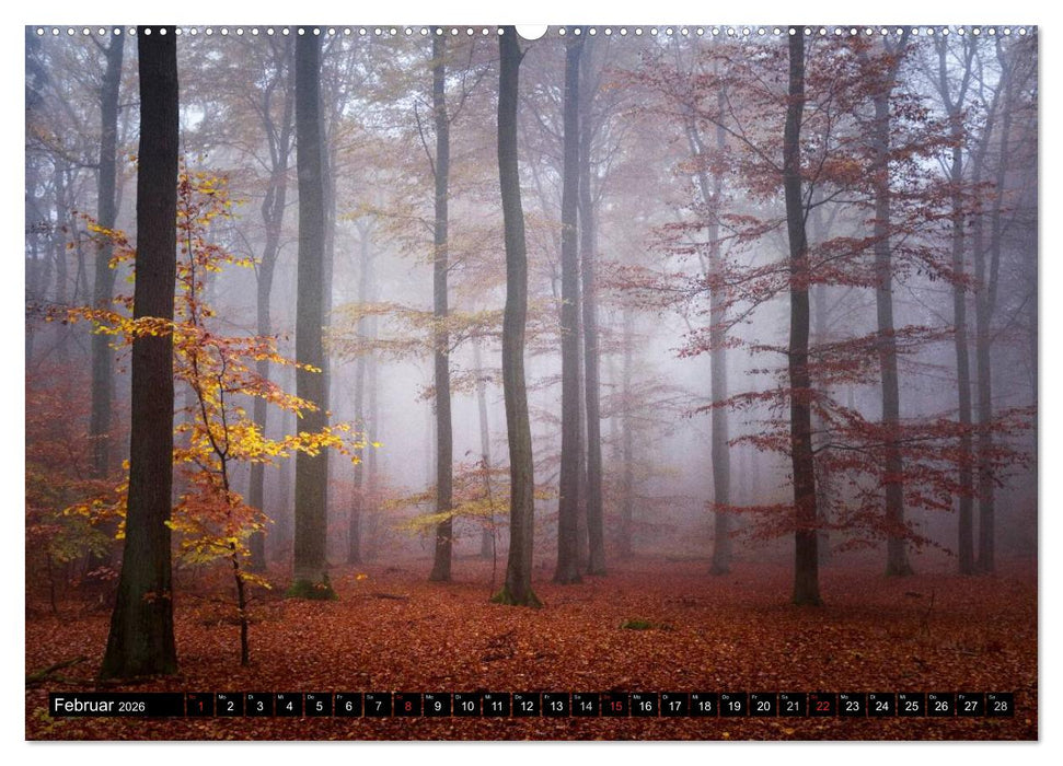Zauberhafter Sachsenwald (CALVENDO Premium Wandkalender 2026)