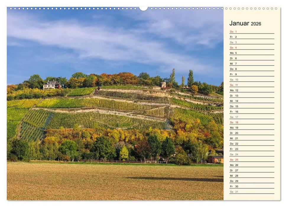Saale-Unstrut - Region aus Wein und Stein (CALVENDO Wandkalender 2026)