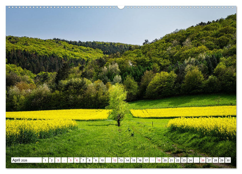 Traumlandschaften Südwest-Deutschlands (CALVENDO Premium Wandkalender 2026)