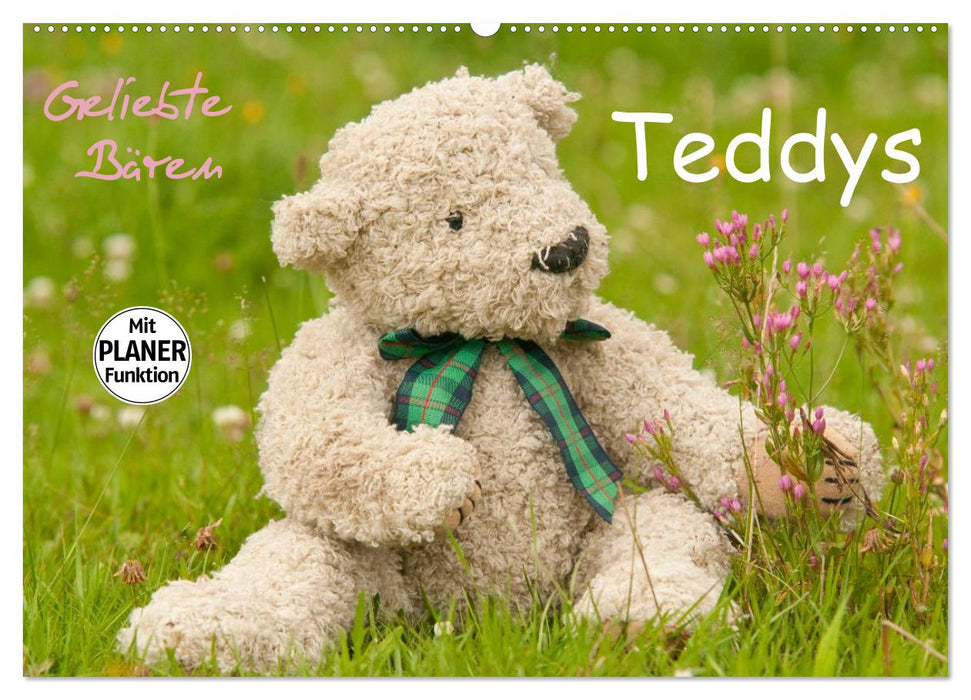 Geliebte Bären - Teddys (CALVENDO Wandkalender 2026)