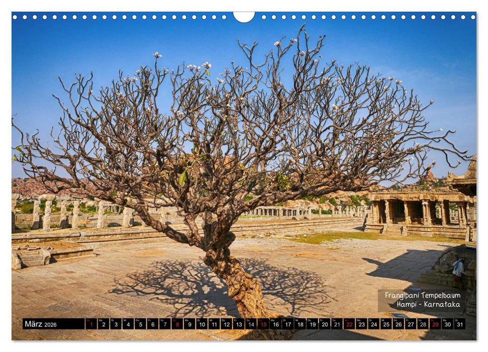 Der zauberhafte Süden Indiens (CALVENDO Wandkalender 2026)