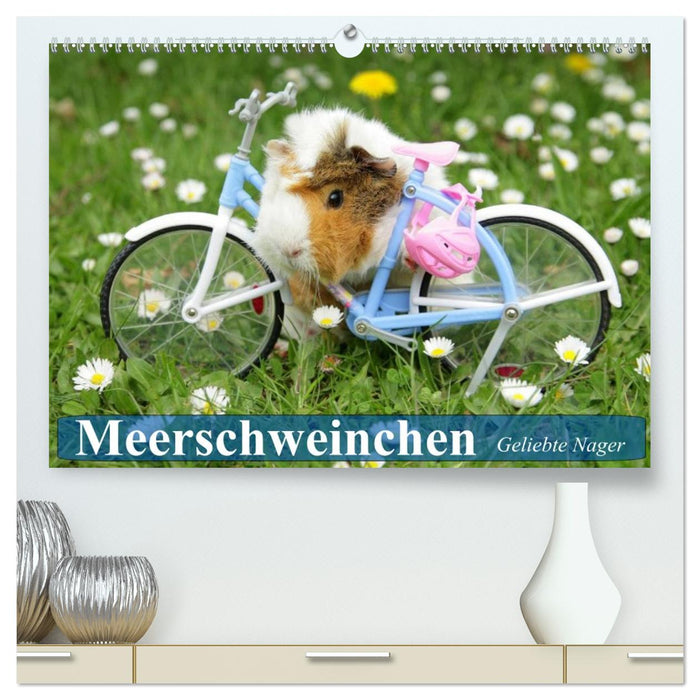 Meerschweinchen. Geliebte Nager (CALVENDO Premium Wandkalender 2026)