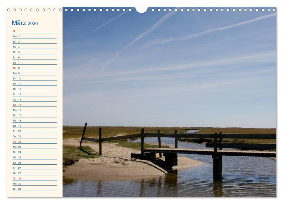 Urlaub auf Borkum (CALVENDO Wandkalender 2026)