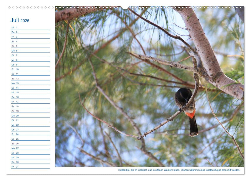 Südsee-Insel Mo'orea (CALVENDO Premium Wandkalender 2026)