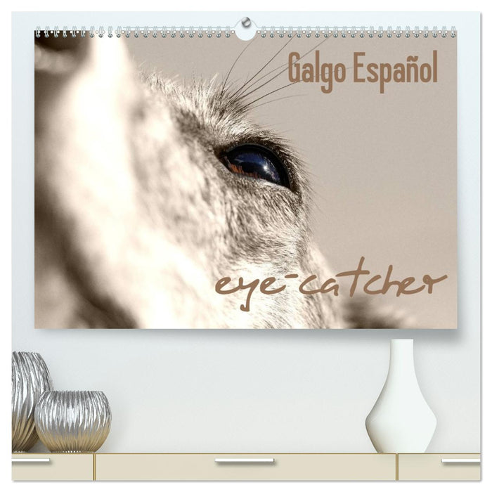 Galgo eye-catcher (CALVENDO Premium Wandkalender 2026)