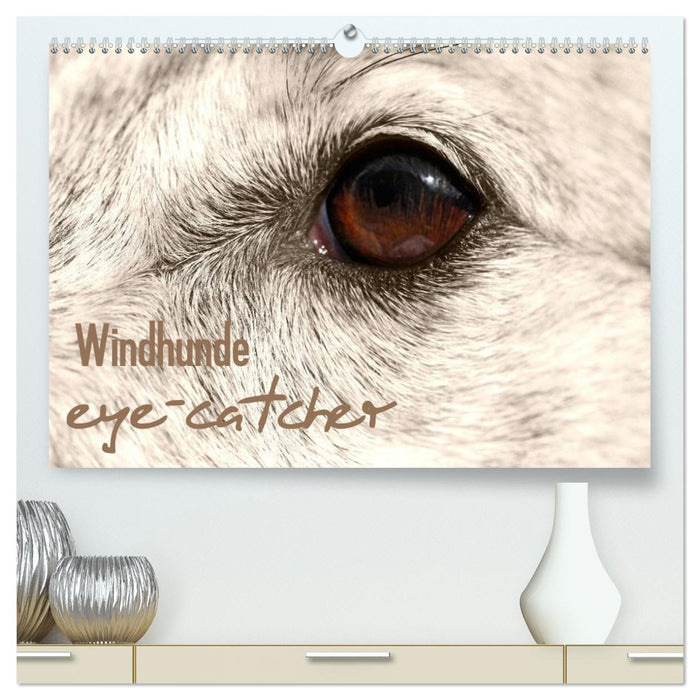Windhunde eye-catcher (CALVENDO Premium Wandkalender 2026)