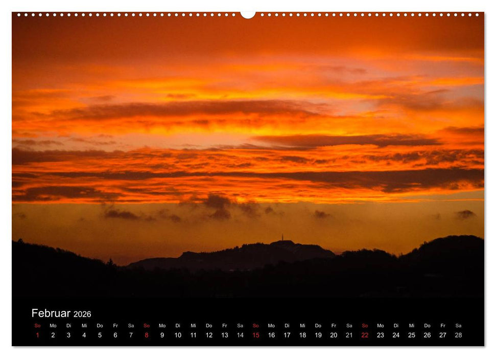 Brilon aus der Vogelperspektive (CALVENDO Premium Wandkalender 2026)