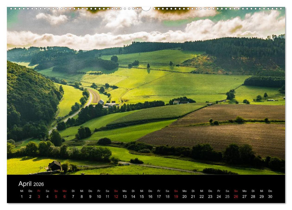 Brilon aus der Vogelperspektive (CALVENDO Premium Wandkalender 2026)