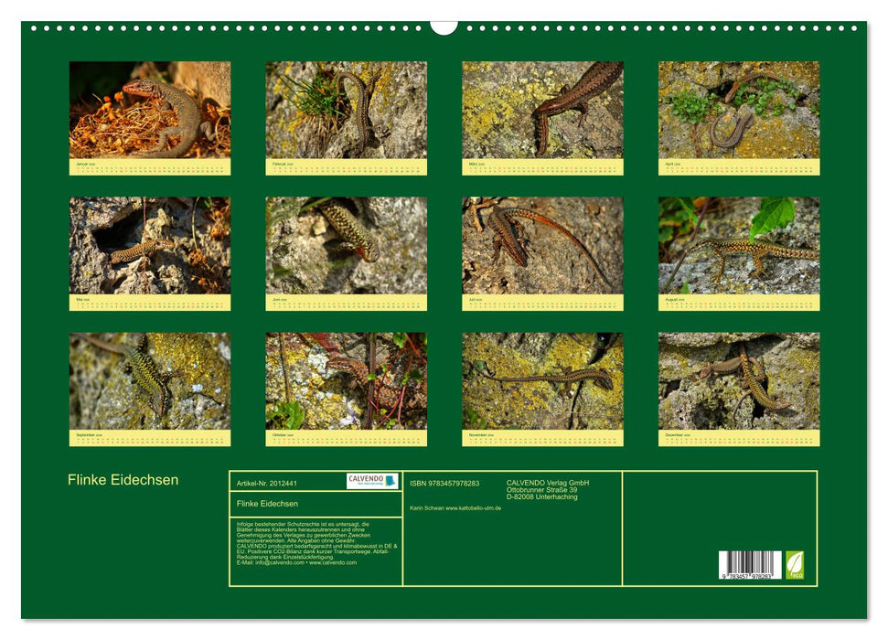 Flinke Eidechsen (CALVENDO Wandkalender 2026)