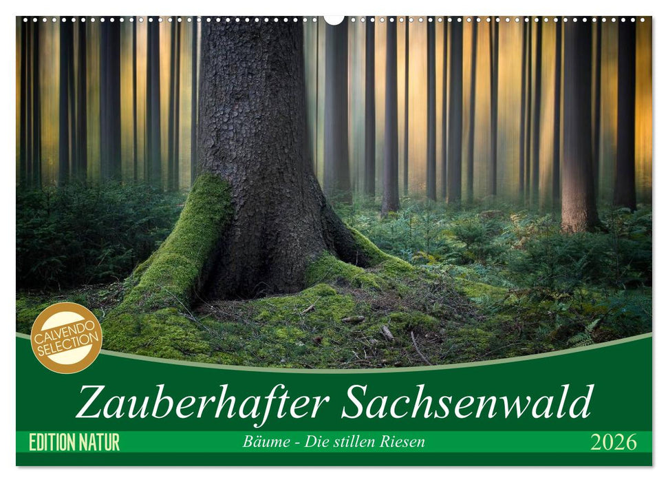 Zauberhafter Sachsenwald (CALVENDO Wandkalender 2026)