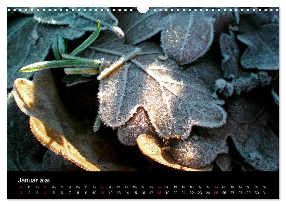 land und leben (CALVENDO Wandkalender 2026)