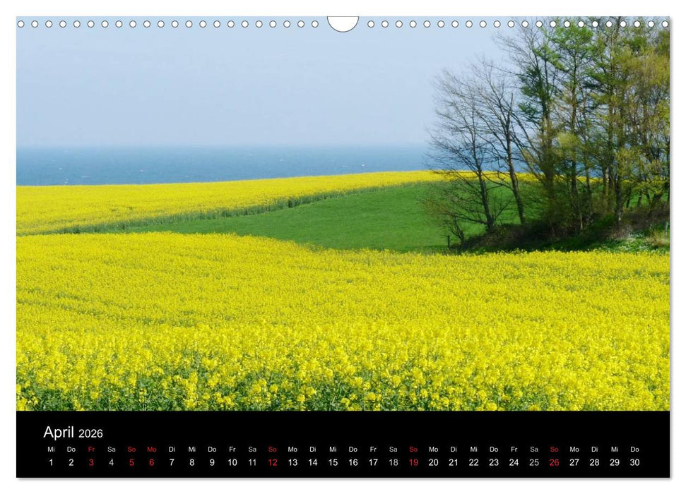 land und leben (CALVENDO Wandkalender 2026)