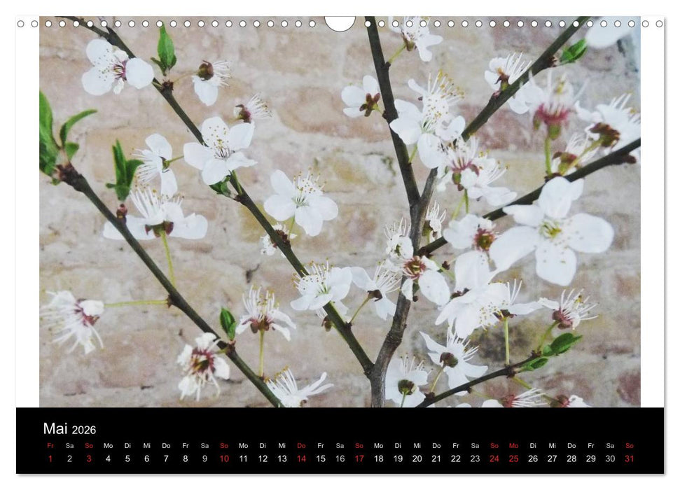 land und leben (CALVENDO Wandkalender 2026)