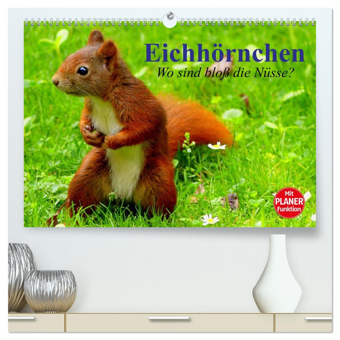 Eichhörnchen. Wo sind bloß die Nüsse? (CALVENDO Premium Wandkalender 2026)