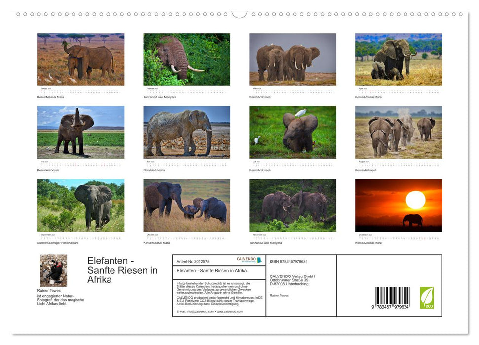 Elefanten - Sanfte Riesen in Afrika (CALVENDO Premium Wandkalender 2026)