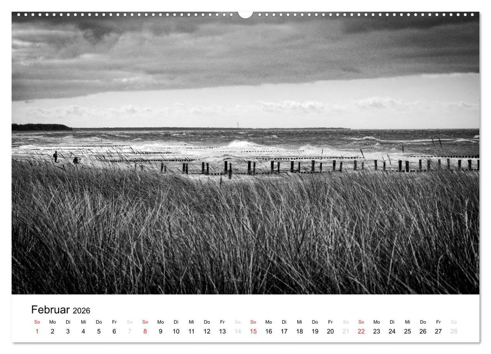 Ostseebad Zingst - Impressionen in Schwarz-Weiß (CALVENDO Premium Wandkalender 2026)