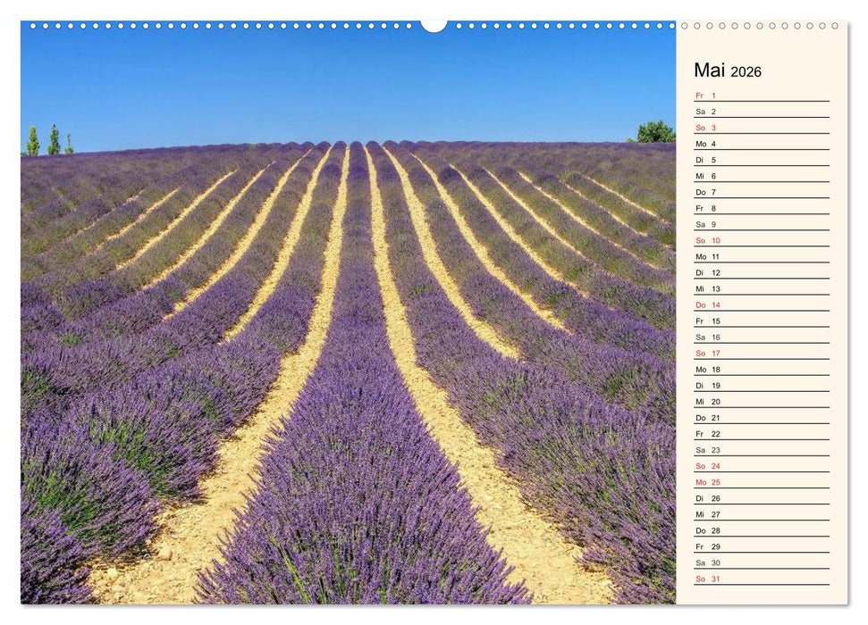 Verzaubernde Provence (CALVENDO Wandkalender 2026)