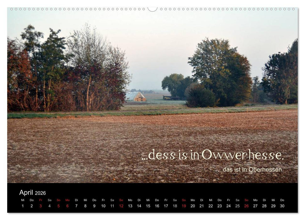 Die Wetterau mit Mundart-Statements (CALVENDO Premium Wandkalender 2026)