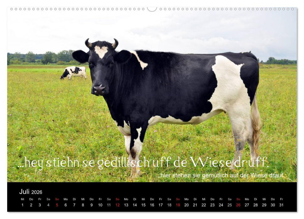 Die Wetterau mit Mundart-Statements (CALVENDO Premium Wandkalender 2026)